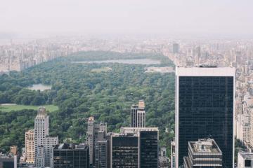 buildings and parks